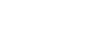 Software Designer